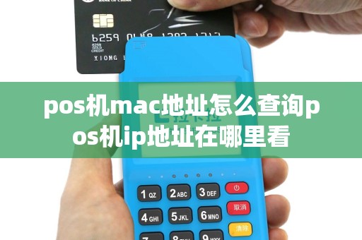 pos机mac地址怎么查询pos机ip地址在哪里看