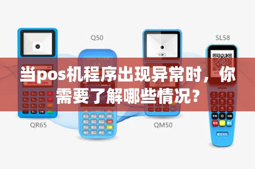 当pos机程序出现异常时，你需要了解哪些情况？