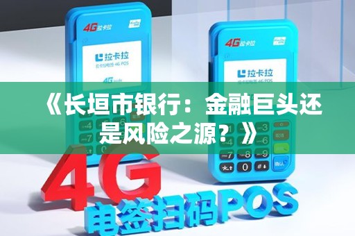 《长垣市银行：金融巨头还是风险之源？》
