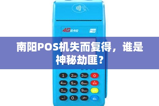 南阳POS机失而复得，谁是神秘劫匪？