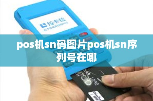 pos机sn码图片pos机sn序列号在哪