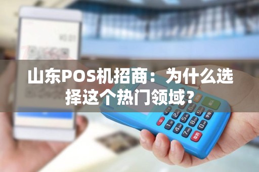 山东POS机招商：为什么选择这个热门领域？