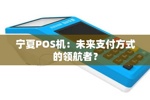 宁夏POS机：未来支付方式的领航者？