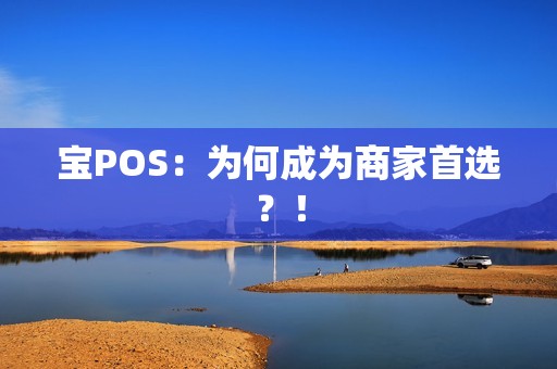 宝POS：为何成为商家首选？！