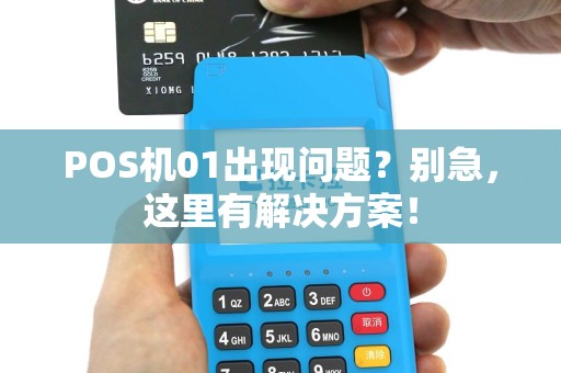 POS机01出现问题？别急，这里有解决方案！