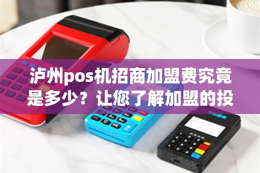 泸州pos机招商加盟费究竟是多少？让您了解加盟的投资成本！