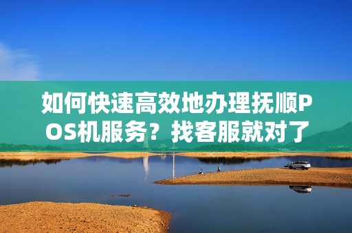 如何快速高效地办理抚顺POS机服务？找客服就对了！