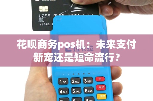 花呗商务pos机：未来支付新宠还是短命流行？