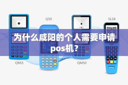 为什么咸阳的个人需要申请pos机？