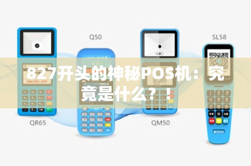 827开头的神秘POS机：究竟是什么？！