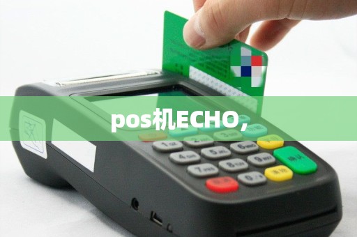 pos机ECHO,