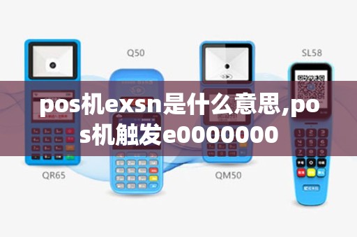 pos机exsn是什么意思,pos机触发e0000000