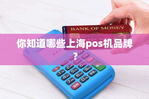 你知道哪些上海pos机品牌？
