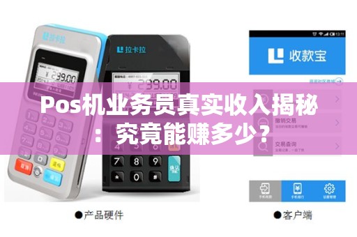 Pos机业务员真实收入揭秘：究竟能赚多少？