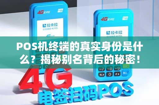 POS机终端的真实身份是什么？揭秘别名背后的秘密！