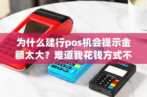 为什么建行pos机会提示金额太大？难道我花钱方式不对？
