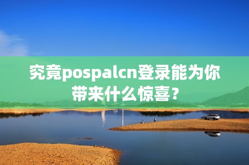究竟pospalcn登录能为你带来什么惊喜？