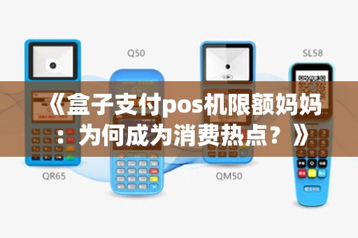 《盒子支付pos机限额妈妈：为何成为消费热点？》