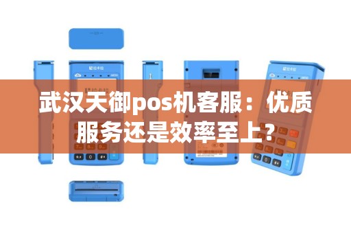 武汉天御pos机客服：优质服务还是效率至上？