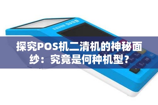 探究POS机二清机的神秘面纱：究竟是何种机型？
