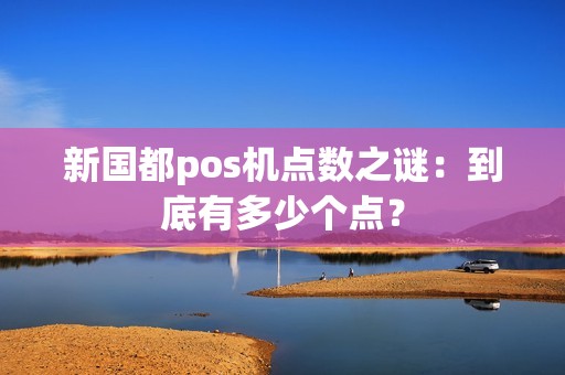 新国都pos机点数之谜：到底有多少个点？