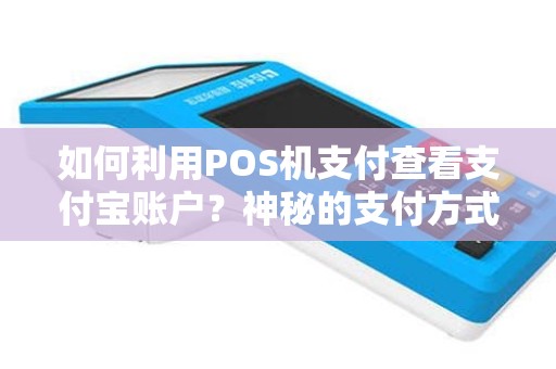 如何利用POS机支付查看支付宝账户？神秘的支付方式揭秘！