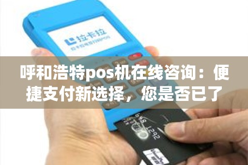 呼和浩特pos机在线咨询：便捷支付新选择，您是否已了解？