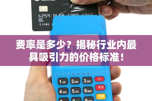 费率是多少？揭秘行业内最具吸引力的价格标准！