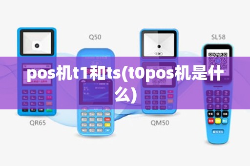 pos机t1和ts(t0pos机是什么)