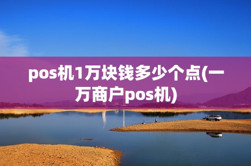 pos机1万块钱多少个点(一万商户pos机)