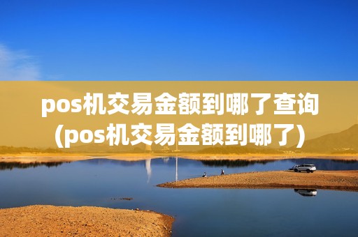 pos机交易金额到哪了查询(pos机交易金额到哪了)