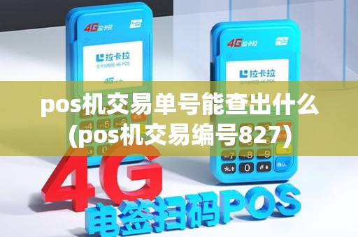 pos机交易单号能查出什么(pos机交易编号827)