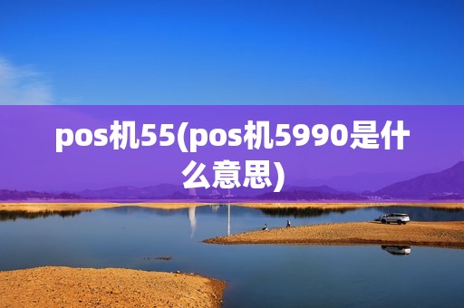 pos机55(pos机5990是什么意思)