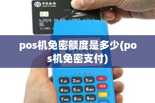 pos机免密额度是多少(pos机免密支付)