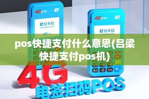 pos快捷支付什么意思(吕梁快捷支付pos机)