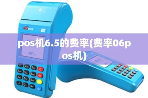 pos机6.5的费率(费率06pos机)
