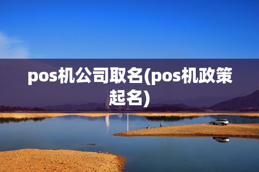 pos机公司取名(pos机政策起名)