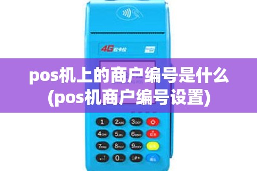 pos机上的商户编号是什么(pos机商户编号设置)