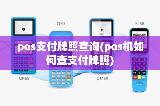 pos支付牌照查询(pos机如何查支付牌照)