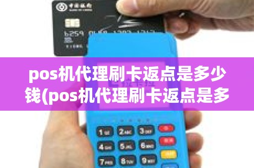 pos机代理刷卡返点是多少钱(pos机代理刷卡返点是多少)