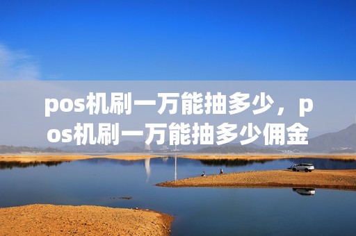 pos机刷一万能抽多少，pos机刷一万能抽多少佣金