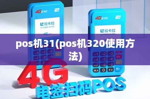 pos机31(pos机320使用方法)