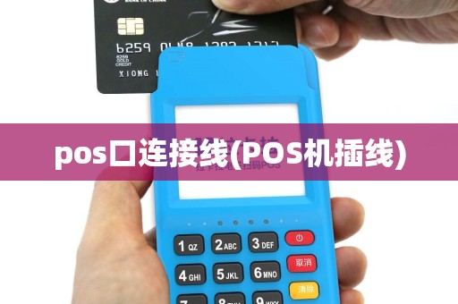 pos口连接线(POS机插线)