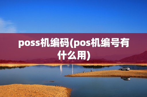 poss机编码(pos机编号有什么用)