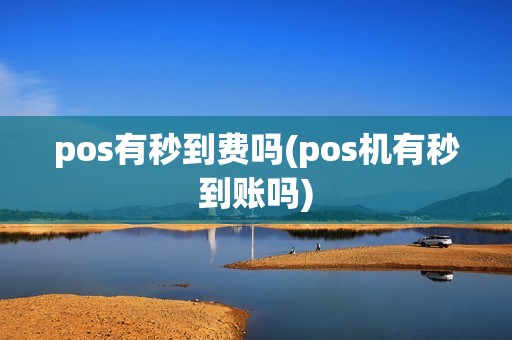 pos有秒到费吗(pos机有秒到账吗)