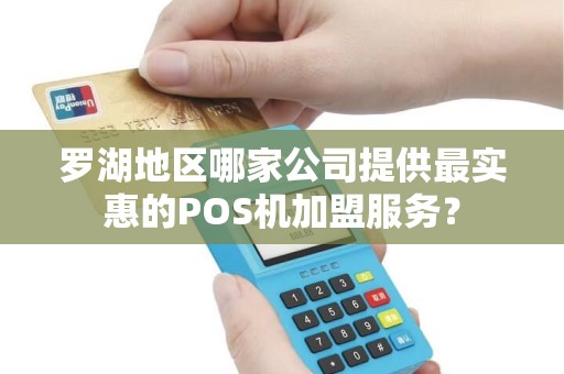 罗湖地区哪家公司提供最实惠的POS机加盟服务？
