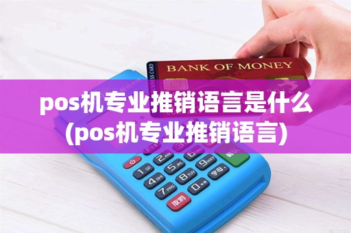 pos机专业推销语言是什么(pos机专业推销语言)