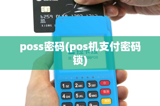 poss密码(pos机支付密码锁)