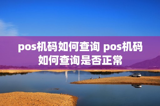 pos机码如何查询 pos机码如何查询是否正常