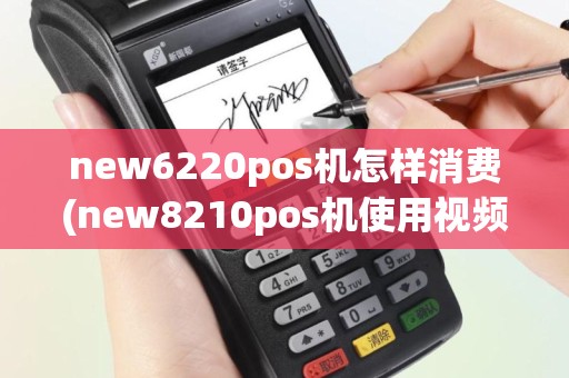 new6220pos机怎样消费(new8210pos机使用视频)
